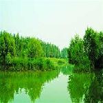 ˮ��ɭ���˼�