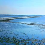 ˮ��ɭ���˼�