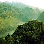 ˮ��ɭ���˼�